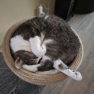 Meet your Posher, Debi